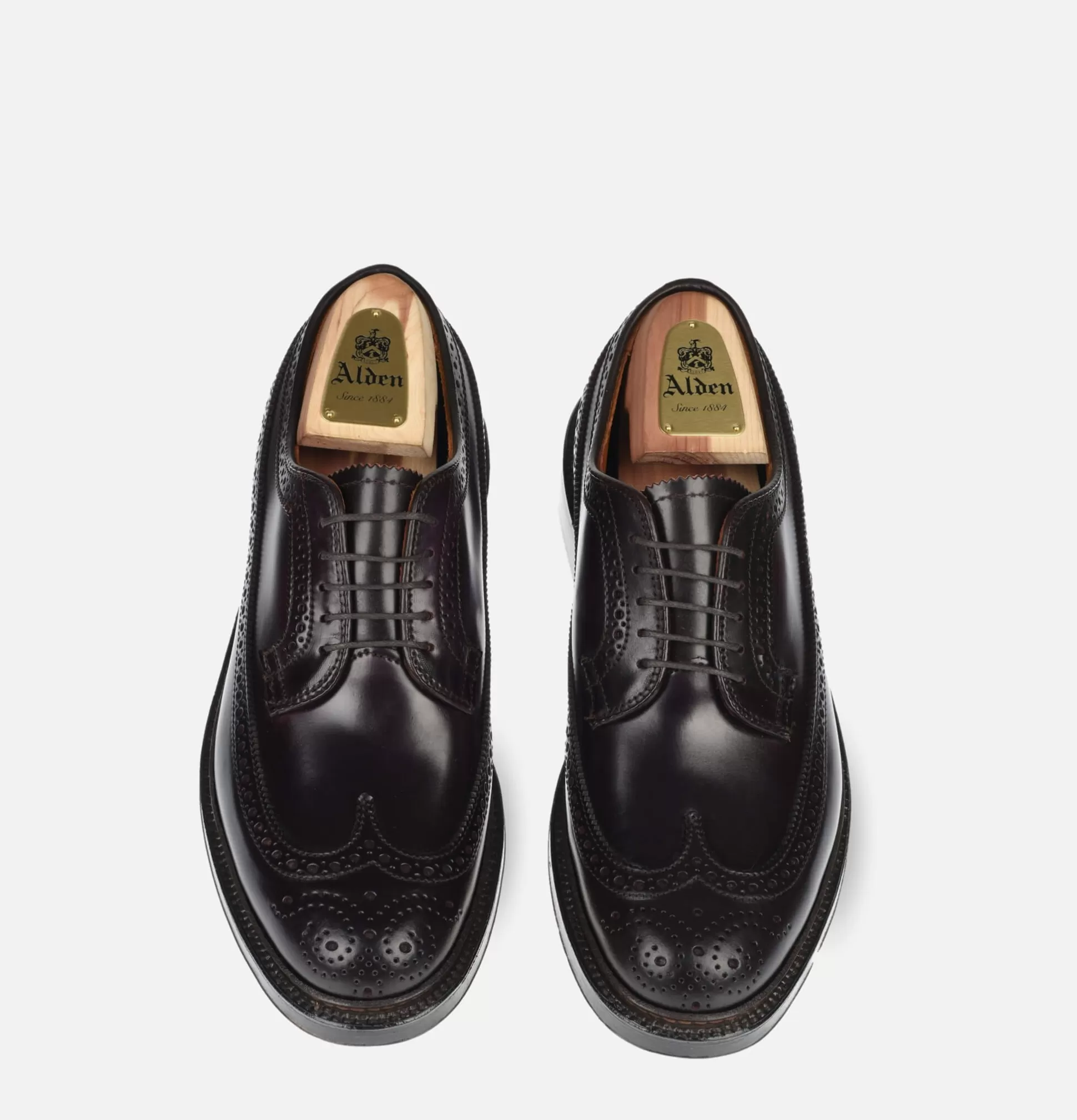 ALDEN SHOE CO Shoes<975 - Long Wing Cordovan