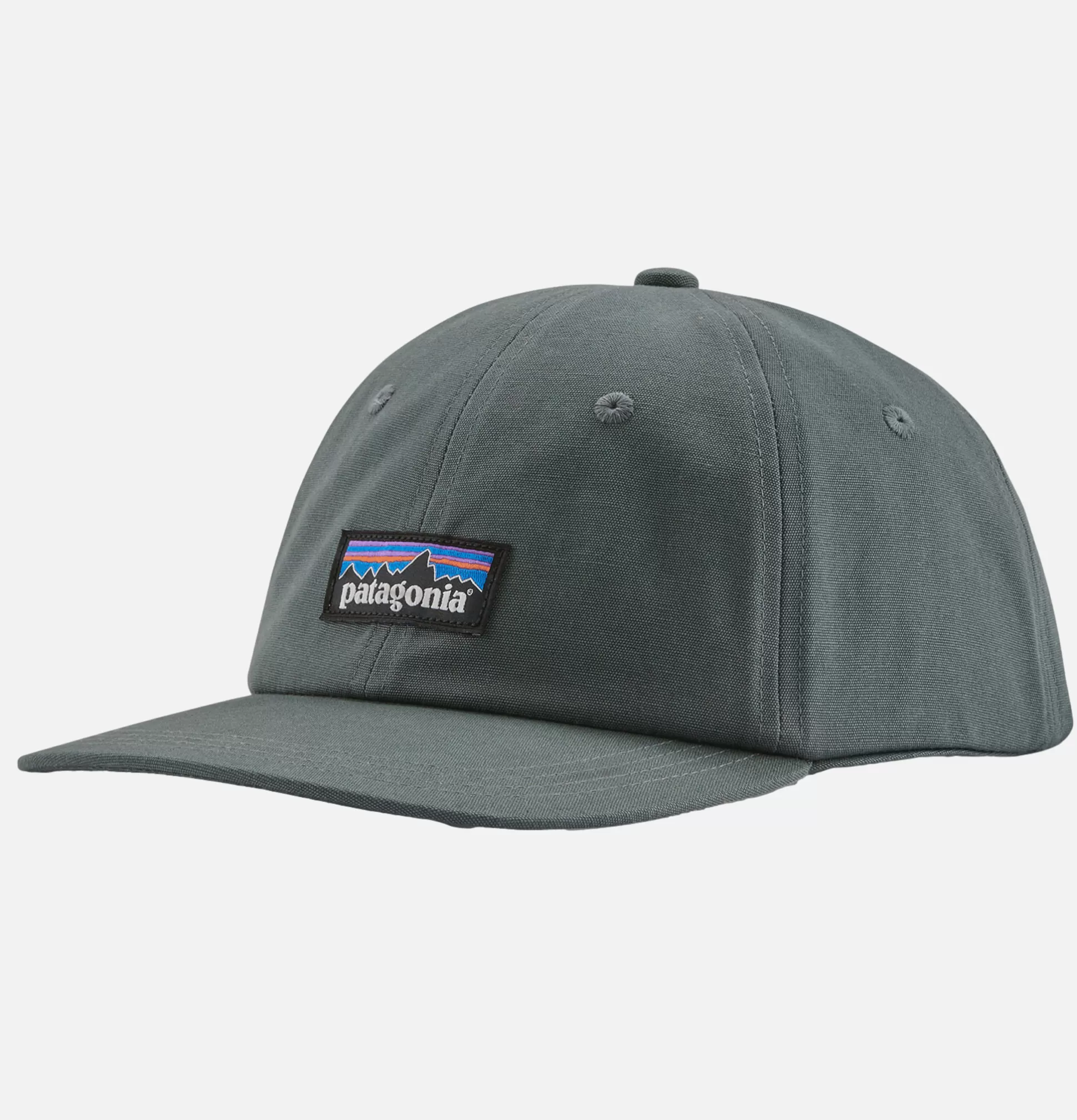 PATAGONIA ACCESSORIES Caps & Hats<P6 Label Trad Cap Nouveau Green