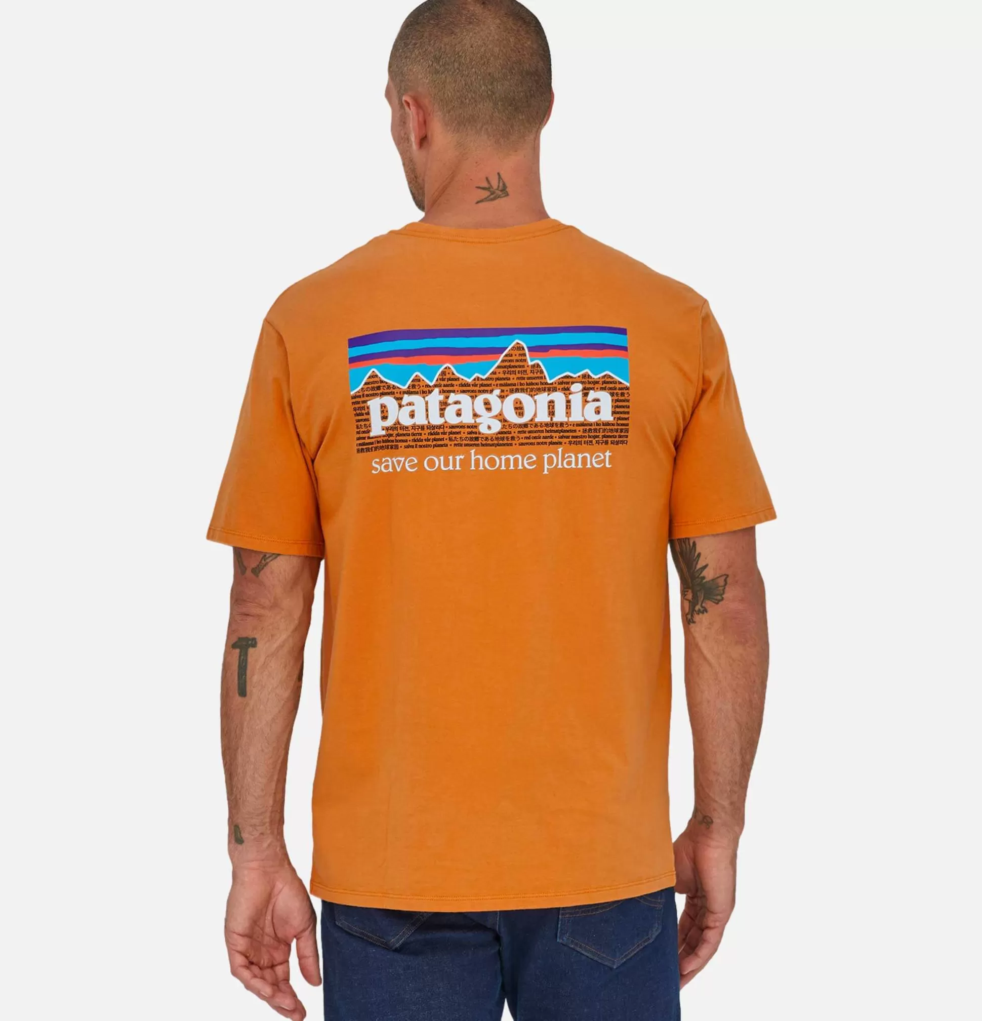 PATAGONIA T-Shirts<P6 Mission T-Shirt Cloo