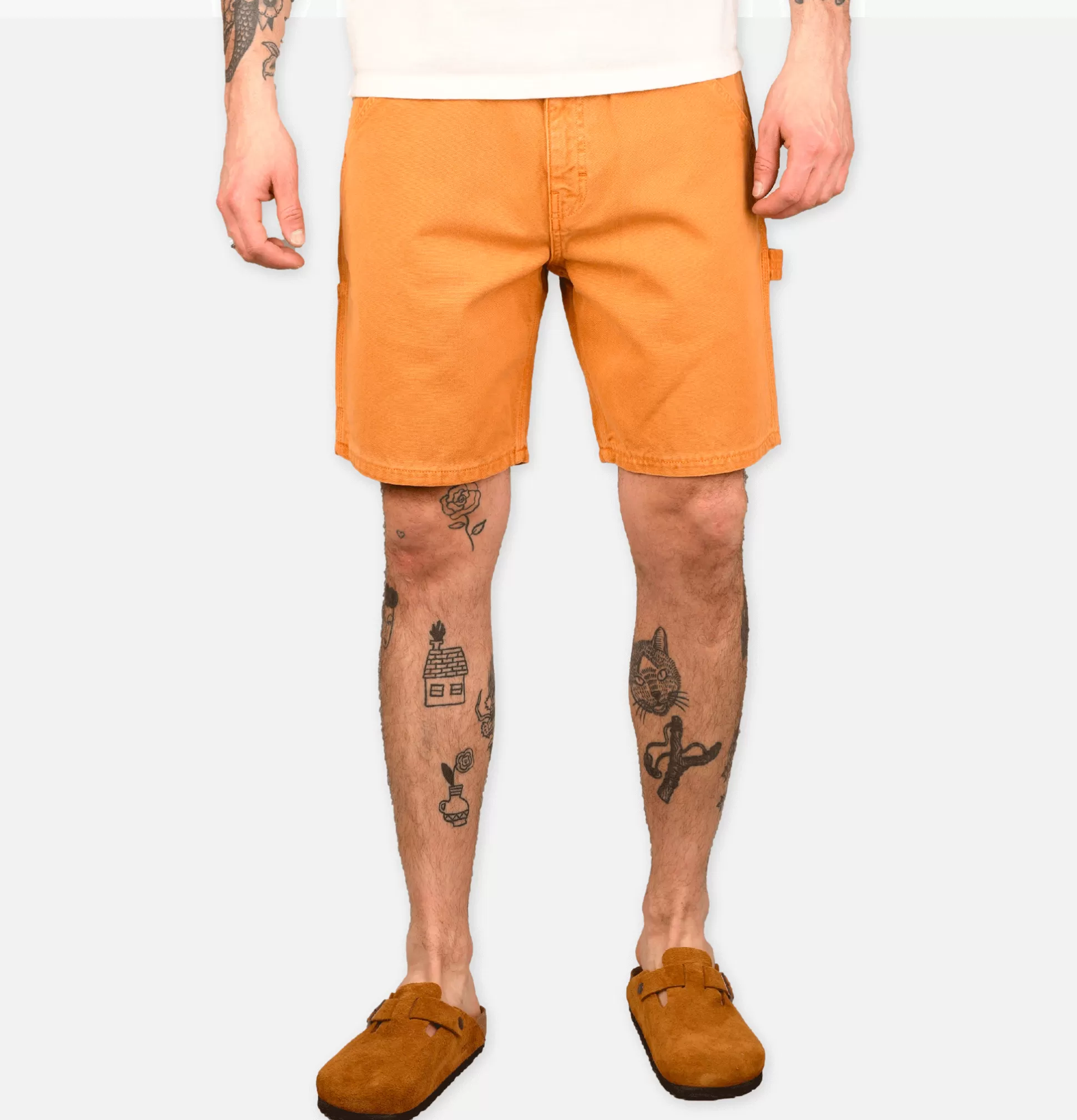 STAN RAY USA Shorts<Painter Short Driftwood Duck